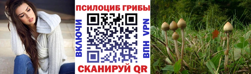 Купить где  Анива  Галлюциногенные грибы ЛСД 